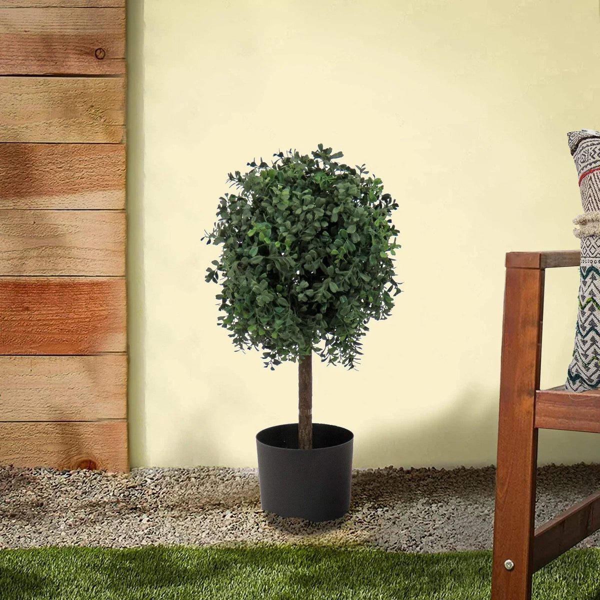 2 ft. Boxwood Single Ball Topiary in Nursery Pot